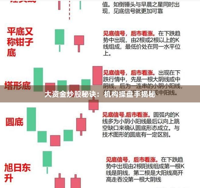 大资金炒股秘诀：机构操盘手揭秘