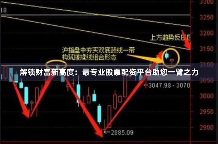 解锁财富新高度：最专业股票配资平台助您一臂之力